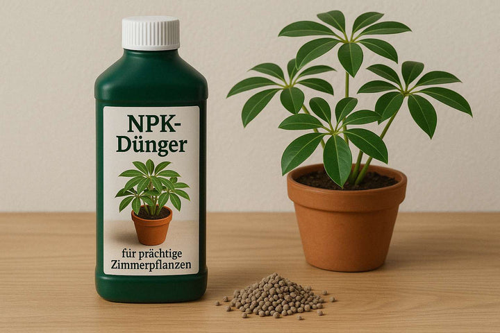 NPK Dünger: Dein Schlüssel zu prächtigen Zimmerpflanzen
