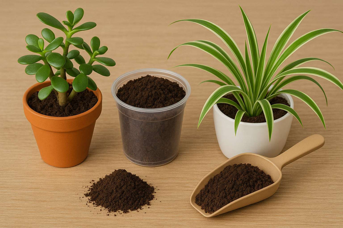 Wurmhumus: Der natürliche Boost für deine Zimmerpflanzen