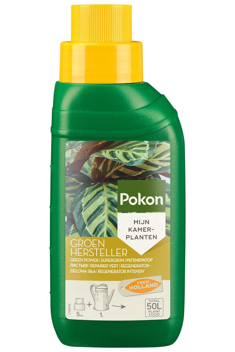 Grünpflanzen-Vitalkur 250 ml Detail