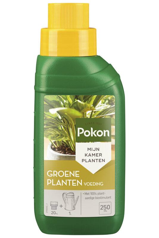 Grünpflanzen-Dünger 250 ml